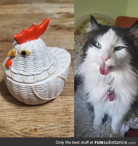 [OC] Chicken lost her battle with cancer two weeks ago. Today, her urn was delivered