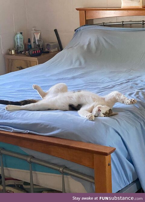 My cat loves sleeping on my parents bed