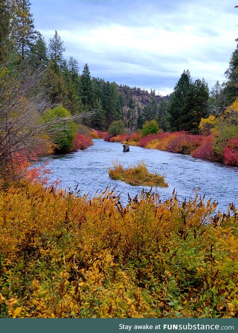 Fall Colors at Oregon's Tumalo State Park