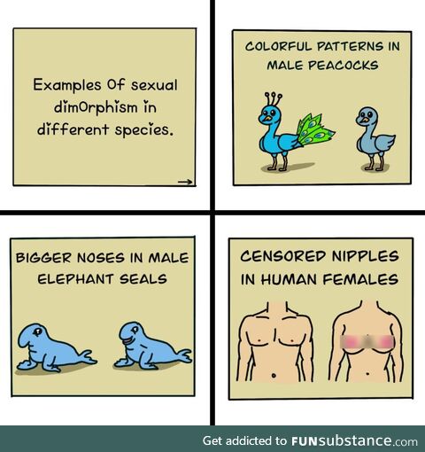 Sexual dimorphism