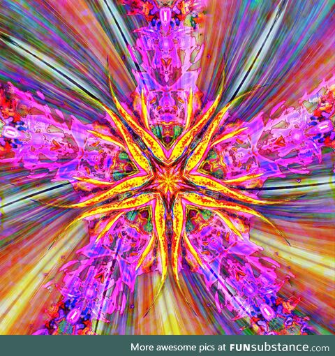 Lightspeed tropical color star