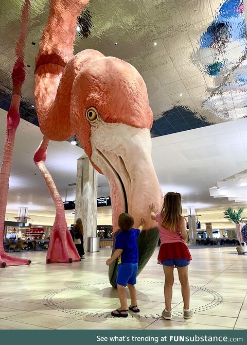 Tampa International Airport’s new Flamingo