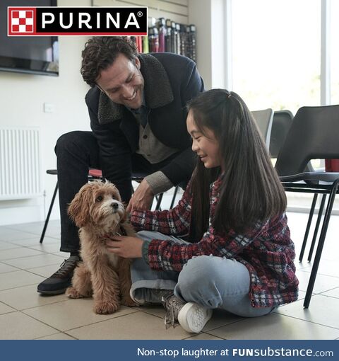 Purina cares about the future of every pet. Purina and Petfinder partner to bring a