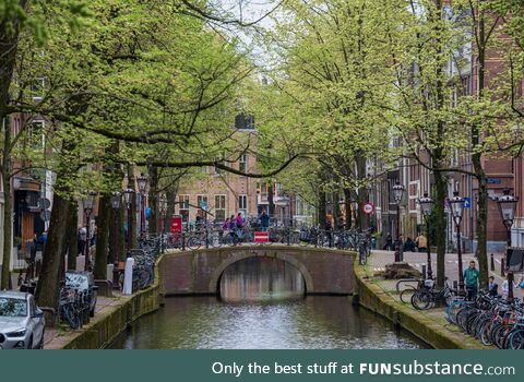 The guy on the bridge across from me had the exact same idea. Photo taken in Amsterdam