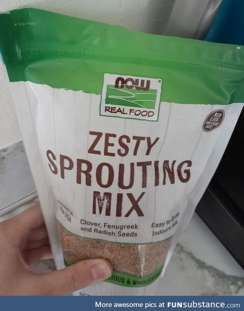 Zesty Sprouting Mix