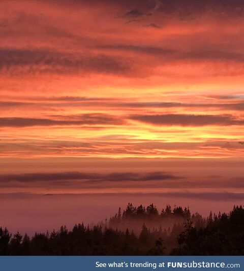 View from my house ???? in Humboldt California. Looks over the ocean but the fog layer is