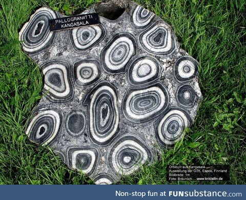 Orbicular granite, one of the world's rarest rocks, formed deep in the mantle of the