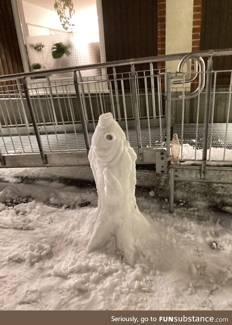 I made a snow-fish