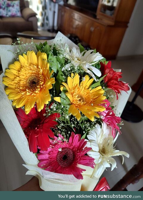 Flowers I purchased for my mother on her birthday (today)