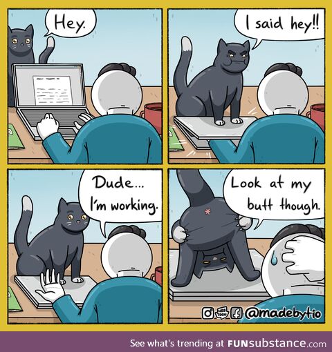 Cats in a nutshell