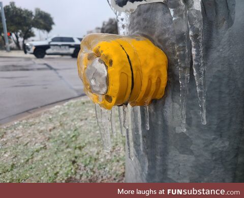 I hope the Texas police understand why I didn't use the Cross Walk button