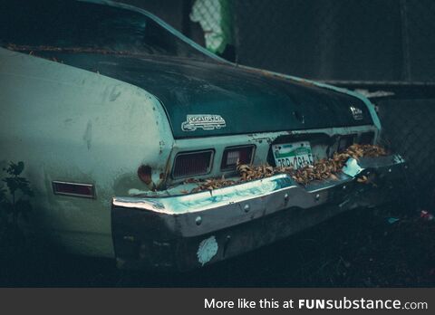 Vintage car abandoned