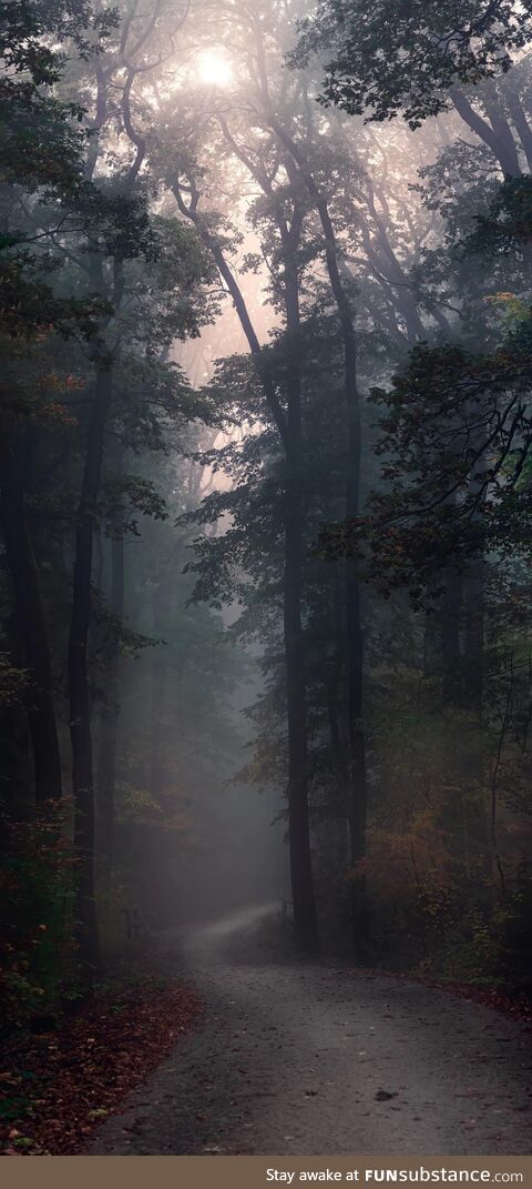 Can’t wait for foggy autumn evenings