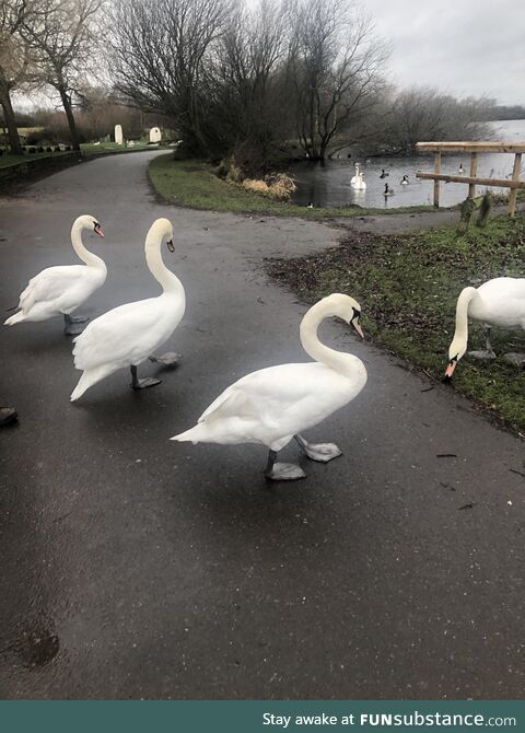 Road block, just stop walking…