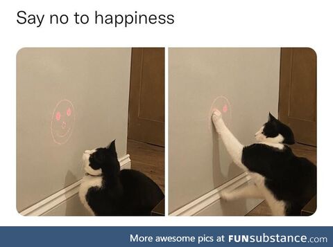 My cat hates happiness