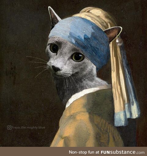 I’ve turned my kitty into a ‘lady with a pearl earring’, she fits so perfectly!