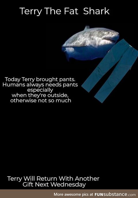 Terry Pantses You