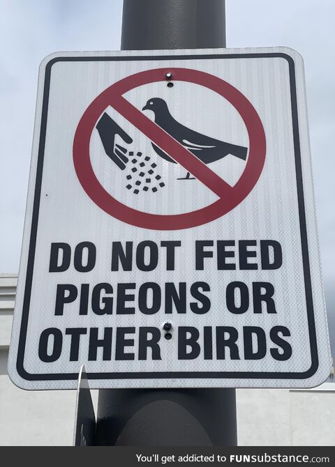 I guess we couldn’t just go with birds?