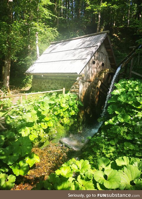 [OC] old watermill in the forest