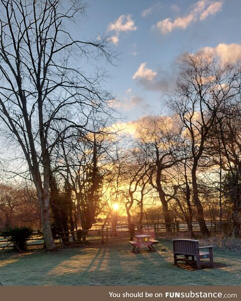 Frosty morning walk