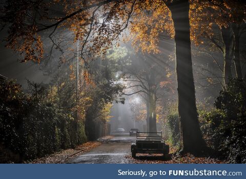 Foggy evening in Belgium