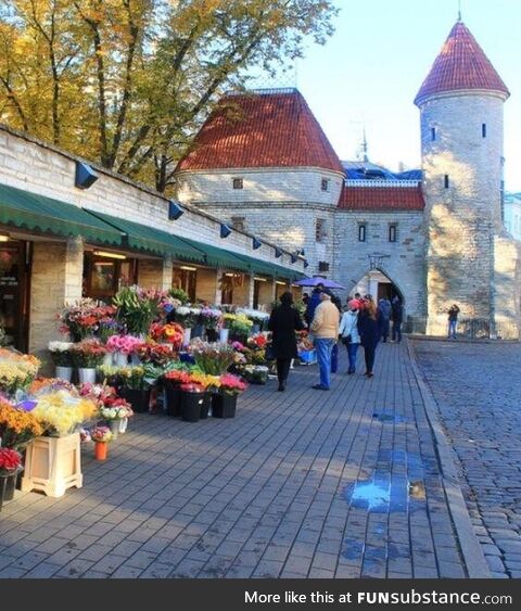 Puerta viru, tallin, estonia