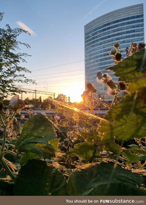 [OC] sun down in Hoofddorp Netherlands