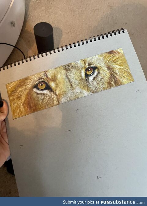 Lion eyes drawing - took a few hours but all done