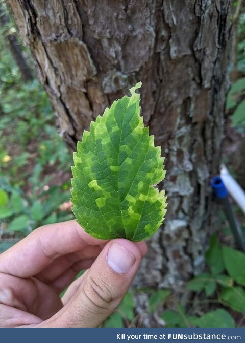 Mother Nature committed quite a few times on this branch