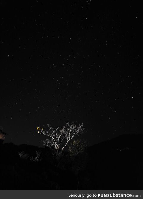 Night skies adore me the most .. Uttrakhand, India