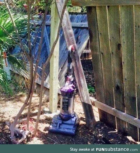 How I kept my dog from leaving through our broken fence