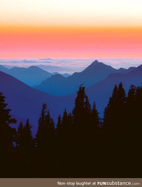 Layers of Washington on the Olympic Peninsula