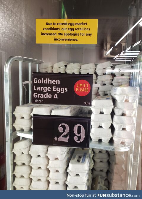 Cheap Eggs at Aldi