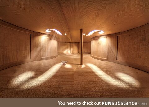 Inside a Cello