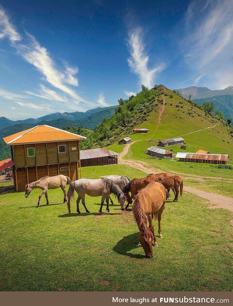 Amlash is a quiet village in Iran. It has feral horses just roaming around