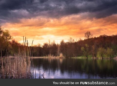 At the end of the small forest lake