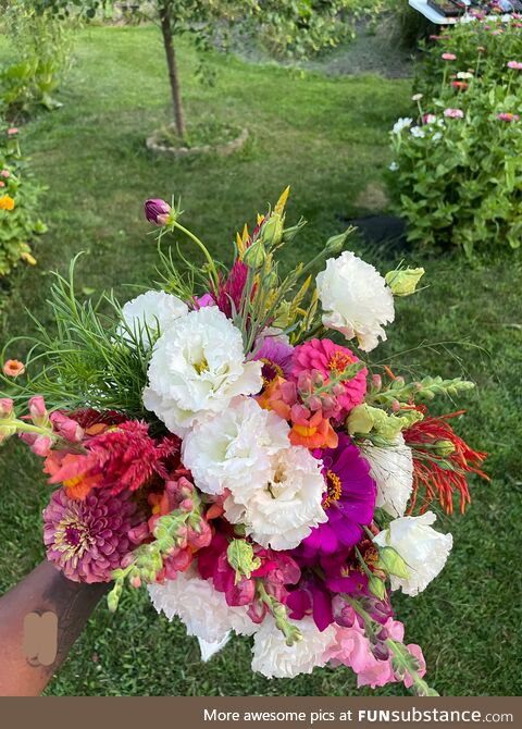 I grew my own wedding bouquet from seeds