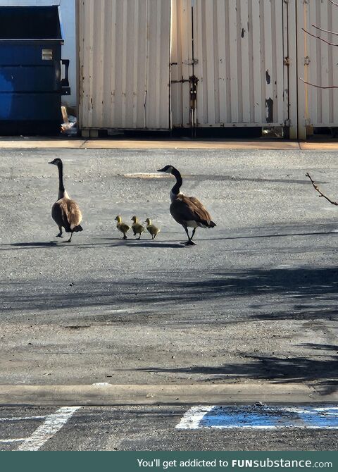 How I know spring has sprung. Mom and Dad out with the kids