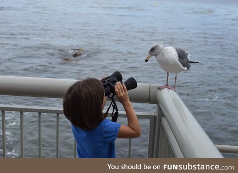 I wanted to teach my daughter the joys of bird watching