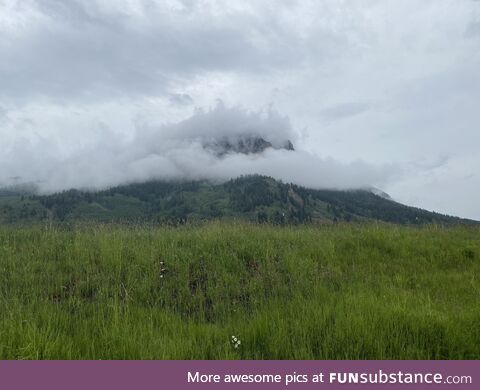 Was biking along when suddenly I discovered Mt. Mustache