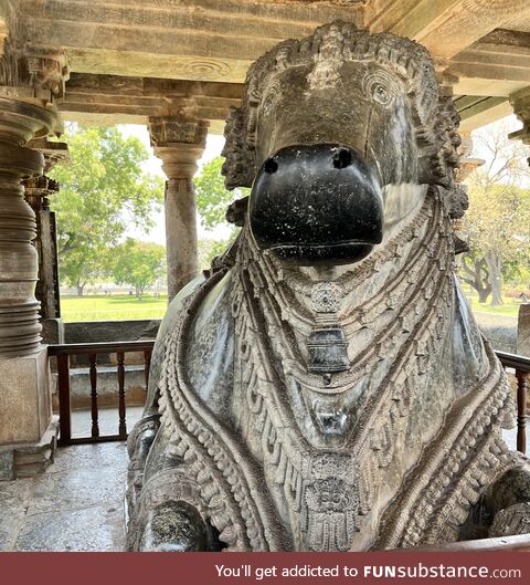 One of the largest Monolithic Nandi (Cow) sculpture, Hoysaleswara Temple, India