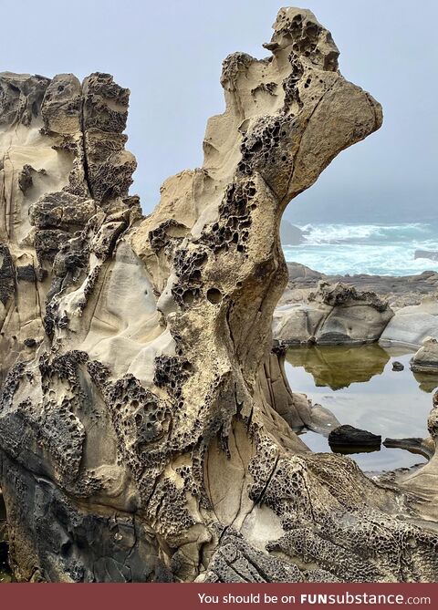 This rock formation with its intricate patterning (known as tafoni)