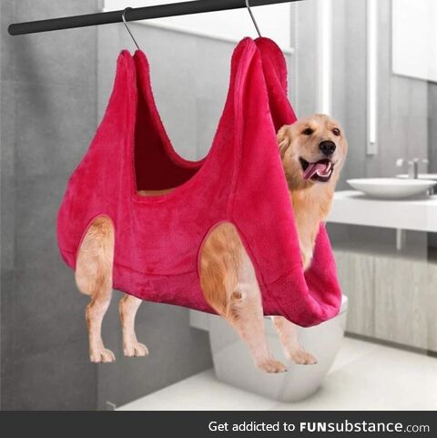 Don't mind the dog he's just hanging out to dry