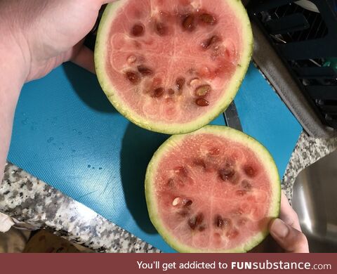 Our first watermelon