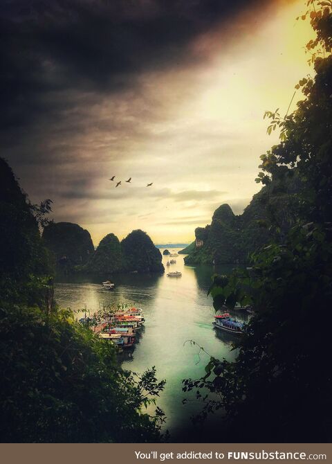 Ha long bay vietnam