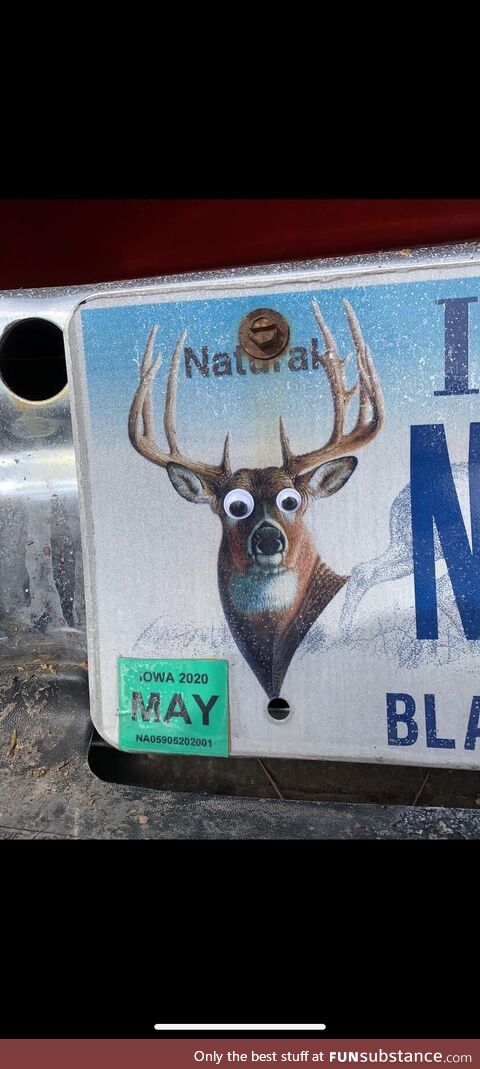 Googly eyes I put on my brothers license plate