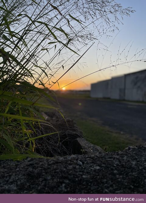 (OC) Was going for a little stroll; Thought it looked nice, so I took a photo