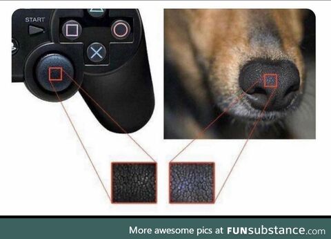 Today I learned that dog noses are made out of playstation controllers