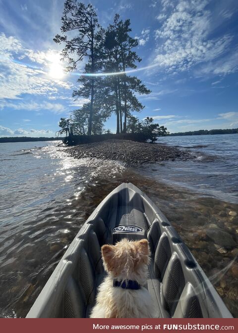 I found an island with my dog