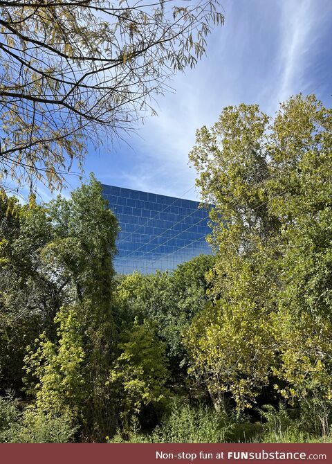 The way this building is framed through the trees, looks like a glitch on the Truman Show